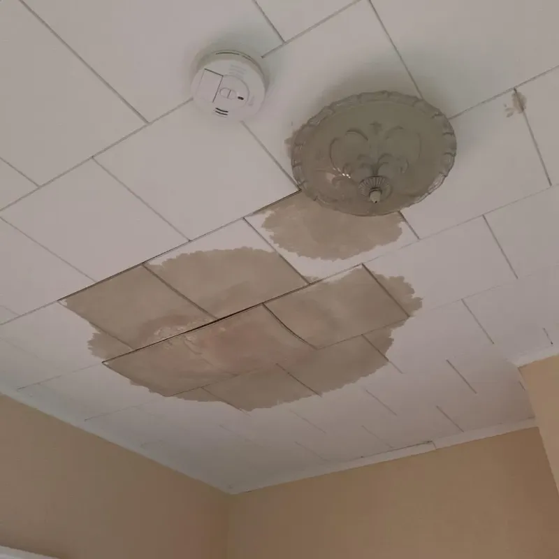 Ceiling Water Damage Repair in Fairmount, IN