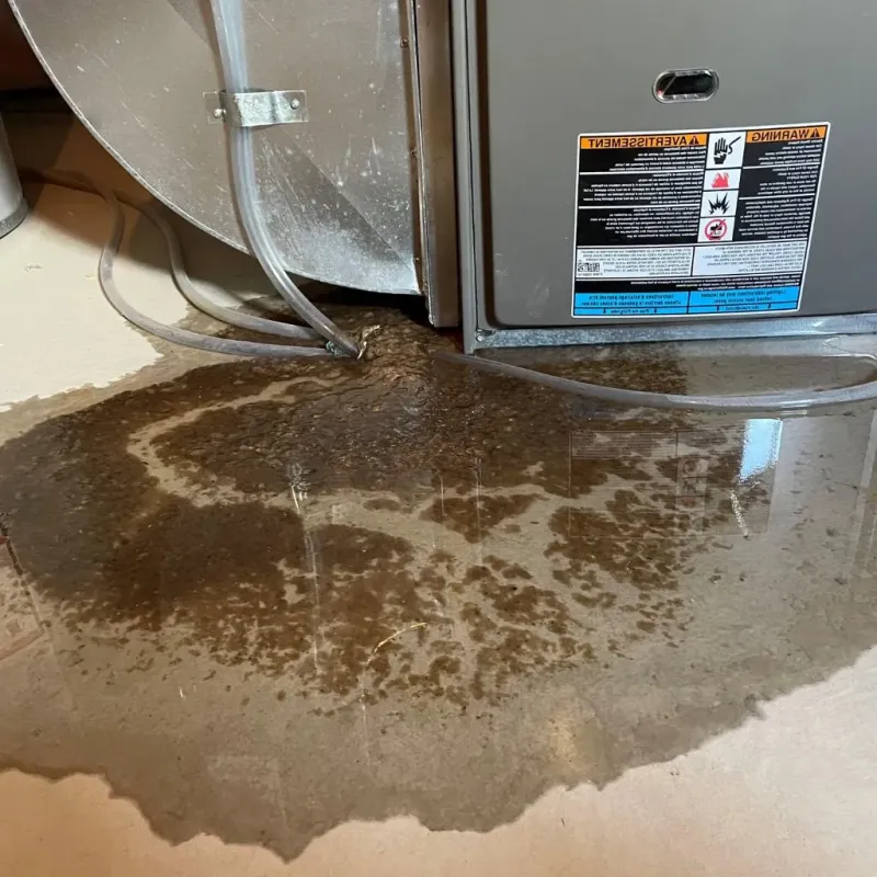 Pipe Burst and Leak Restoration in Fairmount, IN