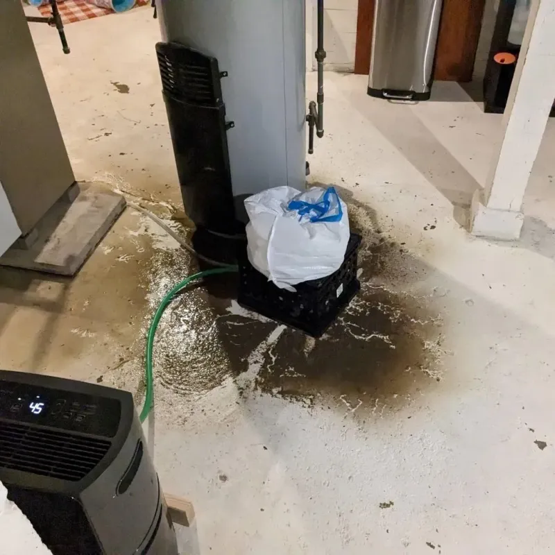 Sewage Backup Cleanup Service in Fairmount, IN